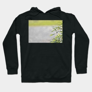 Bamboo Leaves Border Hoodie